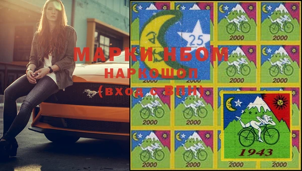 PSILOCYBIN Новокубанск
