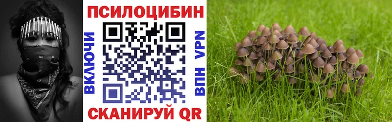 Псилоцибиновые грибы Psilocybine cubensis  МЕГА tor  Алагир 
